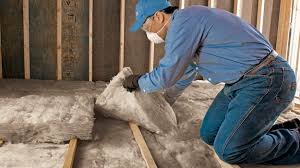 Types of Insulation We Offer in Lanai City, HI